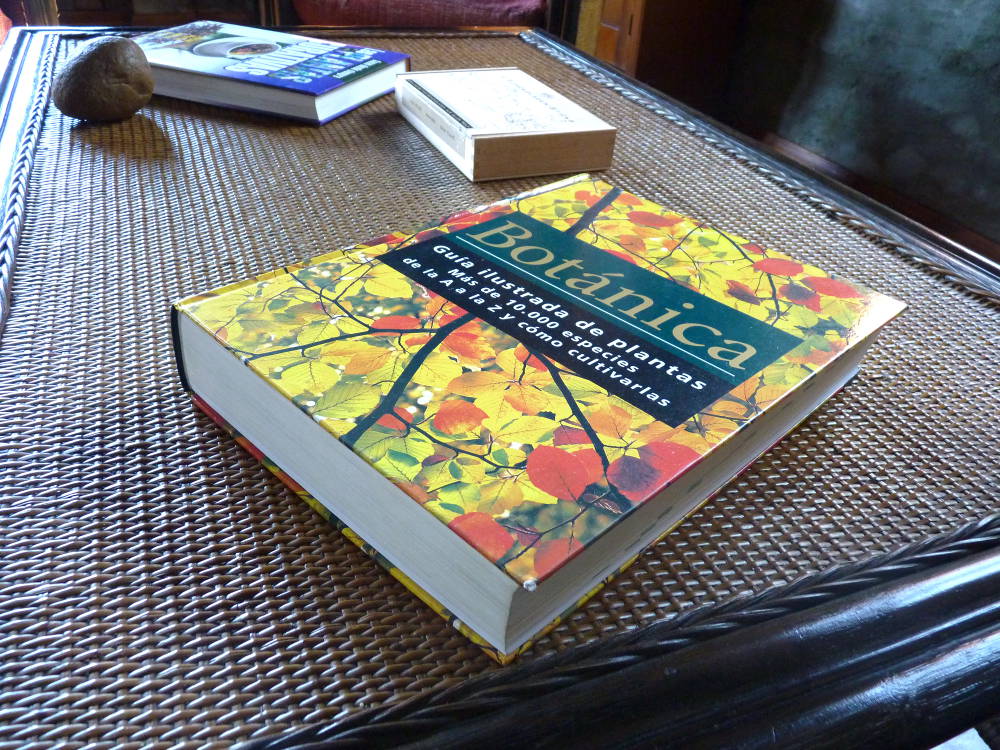P1110525e.jpg